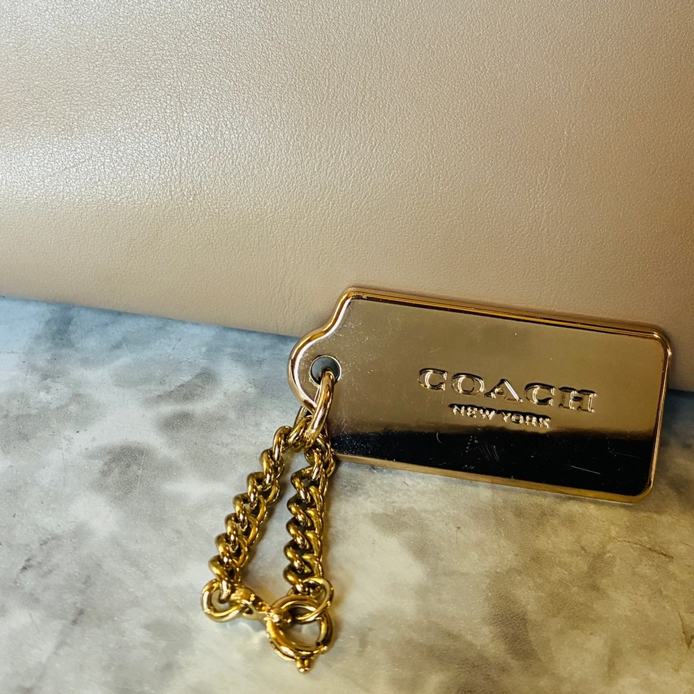 Coach swagger colorblock bag taupe and snake print - Picture 8 of 14